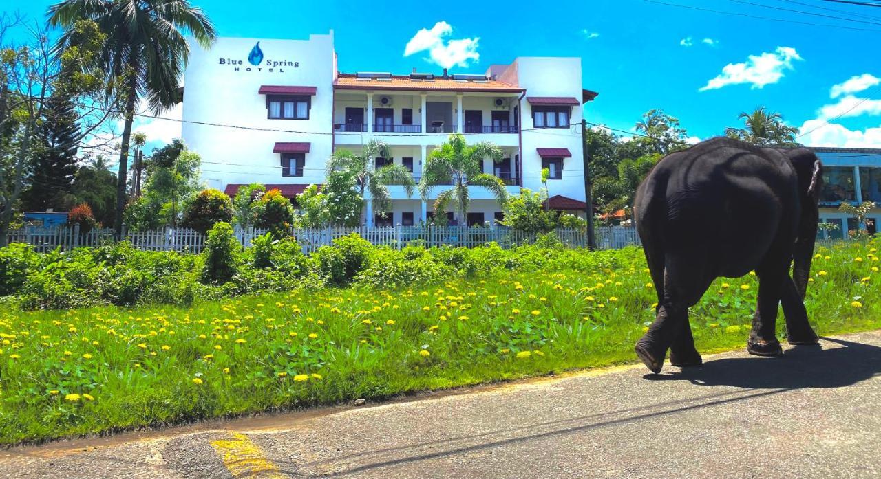 Blue Spring Hotel Wadduwa Extérieur photo